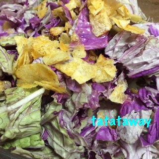 紫白菜の簡単サラダ